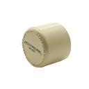 3/4 CPVC CAP - W02