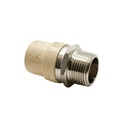 3/4" MIP Stainless Steel x 3/4" CPVC Transition Male Adapter - W02