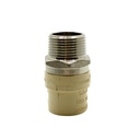 3/4" MIP Stainless Steel x 3/4" CPVC Transition Male Adapter - W06