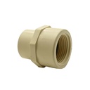1/2 CPVC FEMALE ADAPTER - W02