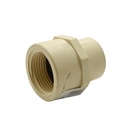 3/4 CPVC FEMALE ADAPTER - W02