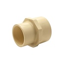 3/4 CPVC FEMALE ADAPTER - W03
