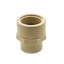 3/4 CPVC FEMALE ADAPTER - W05
