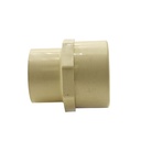 3/4 CPVC FEMALE ADAPTER - W06