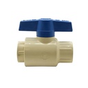 3/4 S X S CPVC BALL VALVE - W06