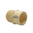 1" CPVC S X T MALE ADAPTER - W02
