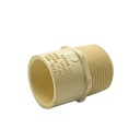 1" CPVC S X T MALE ADAPTER - W04