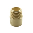 1" CPVC S X T MALE ADAPTER - W05
