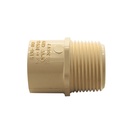 1" CPVC S X T MALE ADAPTER - W06