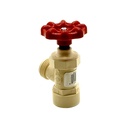 3/4 CPVC BOILER DRAIN - W04