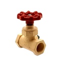 1/2 CPVC STOP & WASTE VALVE - W02
