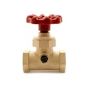 1/2 CPVC STOP & WASTE VALVE - W05
