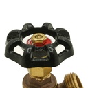 3/4" FIP x 3/4" GHT Boiler Drain