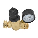 3/4" NPT RV Water Pressure Regulator Valve with 45 PSI Gauge