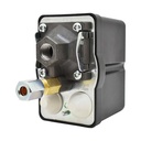 Pressure Switch - 1/4 FPT four port - bend/lever swicth - 125 psi - W02