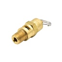1/8" MPT Brass Safety Valve w/pull Ring - 140 PSI - ASME Certified