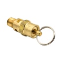 1/8" MPT Brass Safety Valve w/pull Ring - 165 PSI - ASME Certified