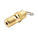 1/4" MPT Brass Safety Valve w/pull Ring - 200 PSI - ASME Certified