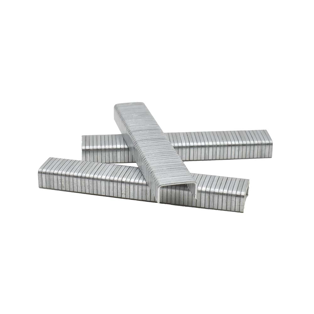 T50 1/4-Inch Leg Length x 3/8-Inch Crown Galvanized Fine Wire Steel Staples (1,000-Pack)
