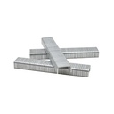 T50 1/4-Inch Leg Length x 3/8-Inch Crown Galvanized Fine Wire Steel Staples (1,000-Pack)
