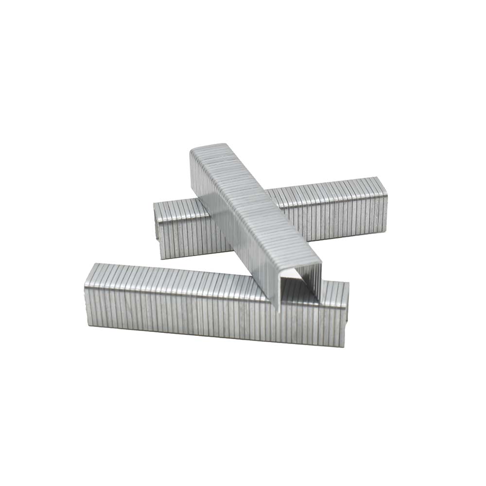 T50 1/2-Inch Leg Length x 3/8-Inch Crown Galvanized Fine Wire Steel Staples (1,000-Pack)
