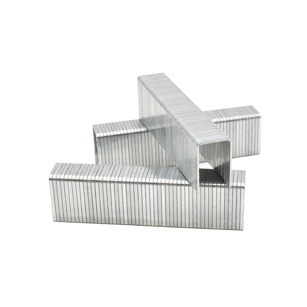 T50 5/8-Inch Leg Length x 3/8-Inch Crown Galvanized Fine Wire Steel Staples (1,000-Pack)
