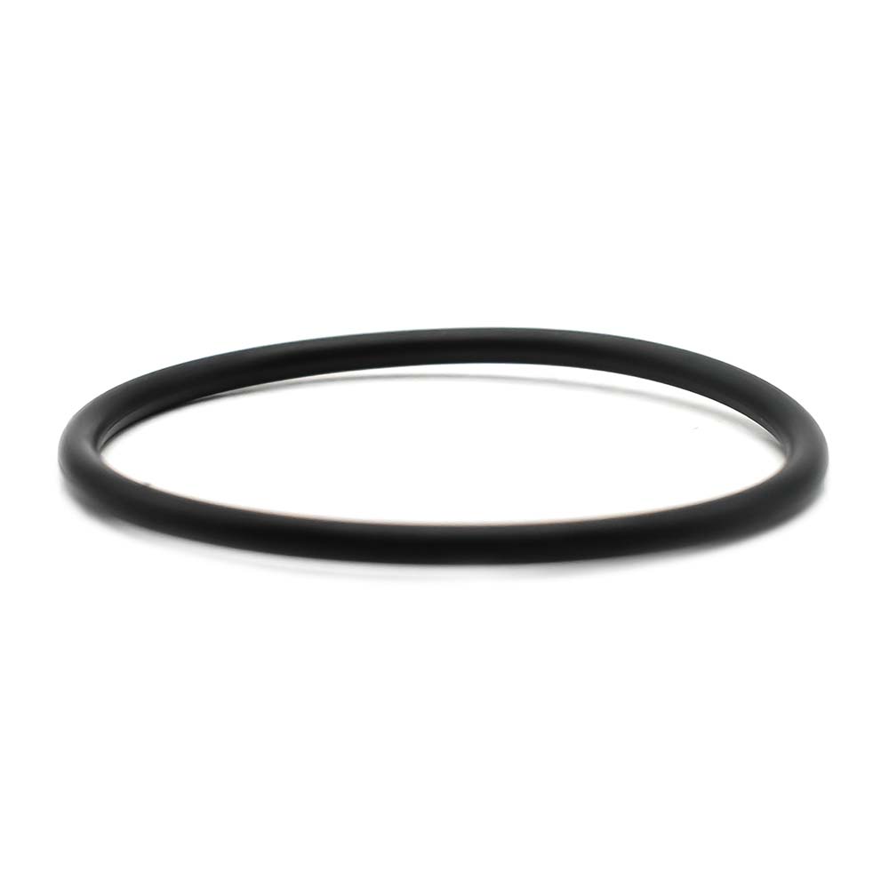 Cylinder O-Ring