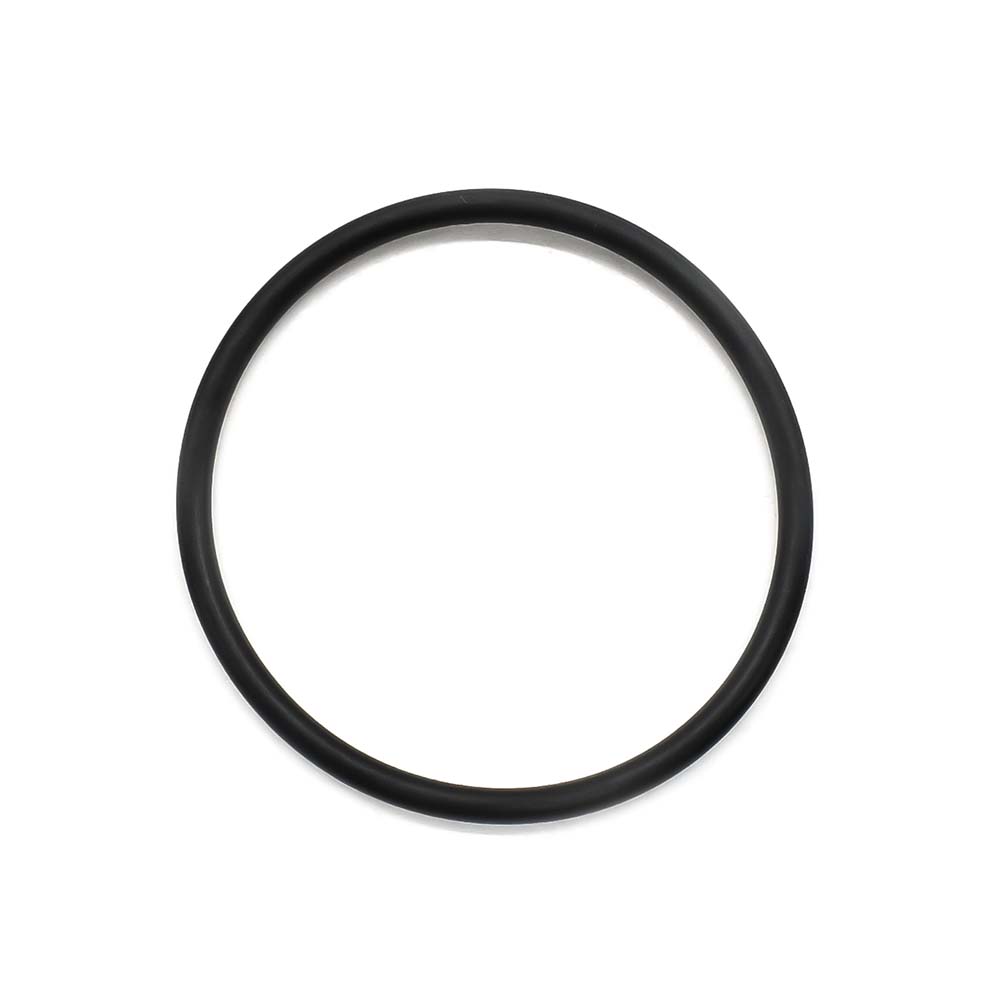 Cylinder O-Ring