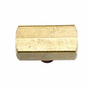 1/4" FPT Brass Branch Tee - 1 inlet - 2 Outlets - Six Display Pack - W02