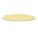 80 Grit 5" Diameter No-Hole PSA Sanding Paper - 25/Pack (Ceramic Aluminum Oxide)
