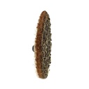 2" Surface Conditioning Sanding Disc (Tan / Coarse)