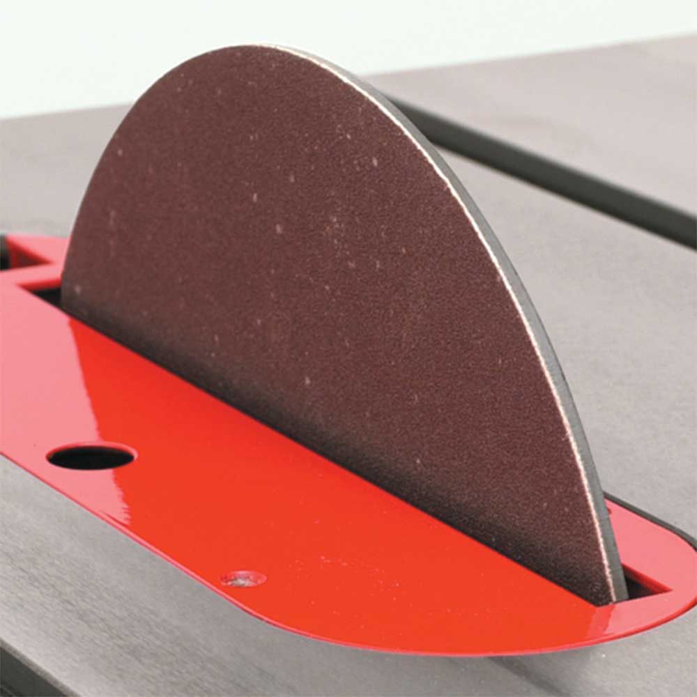 10" Sandpaper Disc, 80 Grit