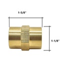 1/2" FPT x 1/2" FPT Brass Female Coupling - Six Display Pack