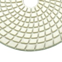 Resin Diamond Polishing Pad,  5" 800 Grit
