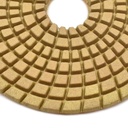 4" Diamond Wet Polishing Pad, 3mm Thick 100 Grit