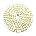 Resin Diamond Polishing Pad,  3" 50 Grit