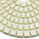 Resin Diamond Polishing Pad,  3" 50 Grit