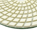 Resin Diamond Polishing Pad,  4" 800 Grit