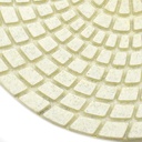 Resin Diamond Polishing Pad,  5" 100 Grit
