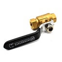 Ball Valve - 1/4" FPT x 1/4" FPT, WP 600 PSI
