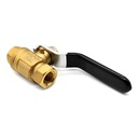 Ball Valve - 1/4" FPT x 1/4" FPT, WP 600 PSI
