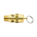1/4" MPT Brass Safety Valve w/pull Ring- 125 PSI - ASME Certified