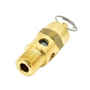 1/4" MPT Brass Safety Valve w/pull Ring- 125 PSI - ASME Certified