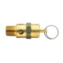 1/4" MPT Brass Safety Valve w/pull Ring- 150 PSI - ASME Certified