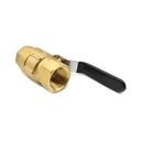 Ball Valve - 1" FPT x 1" FPT, WP 600 PSI
