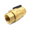 Ball Valve - 1" FPT x 1" FPT, WP 600 PSI