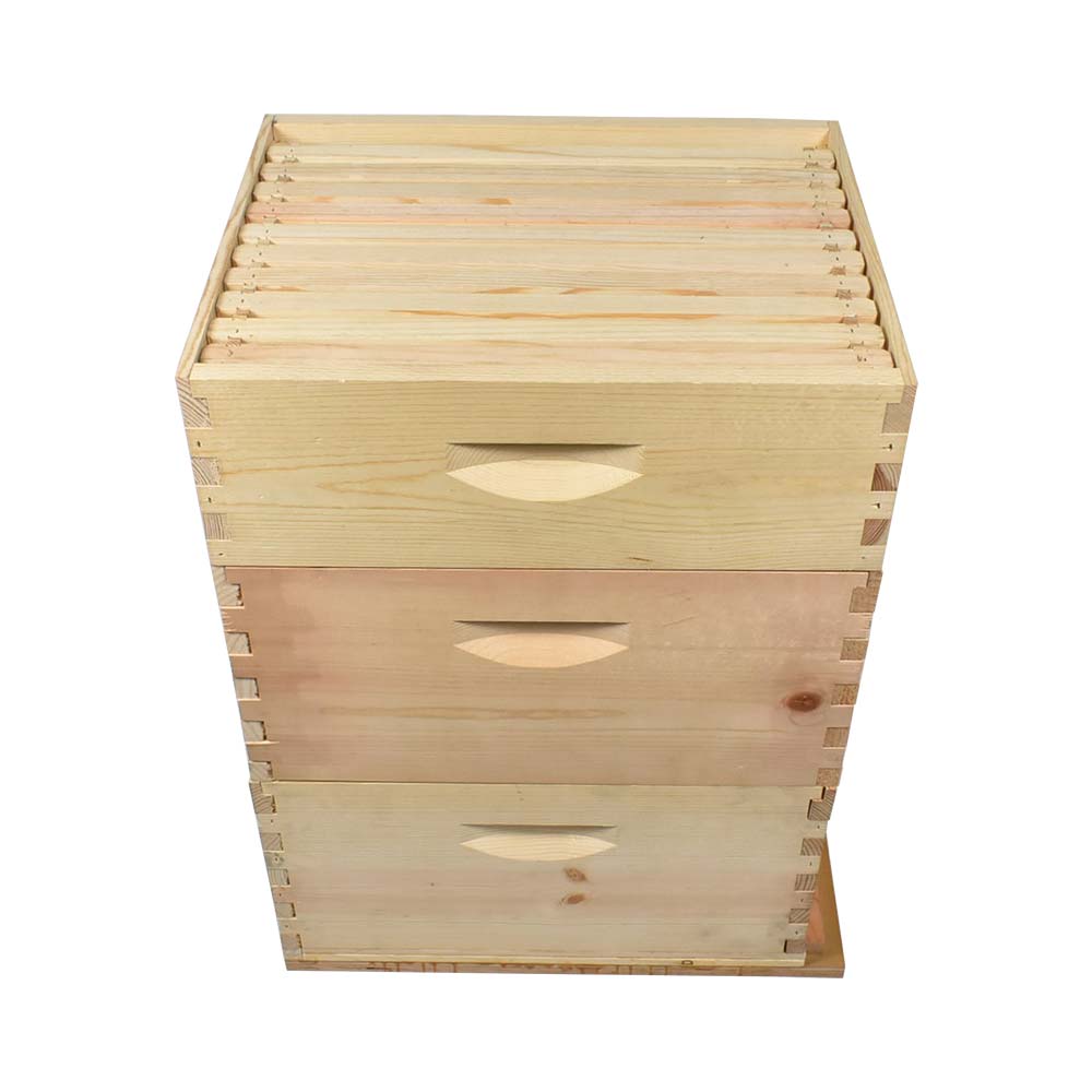 HONEY EXTRACTOR 2 FRAME MOTORIZED