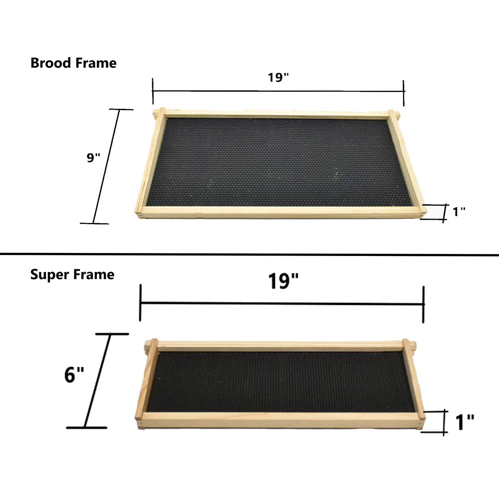 HONEY EXTRACTOR 2 FRAME MOTORIZED