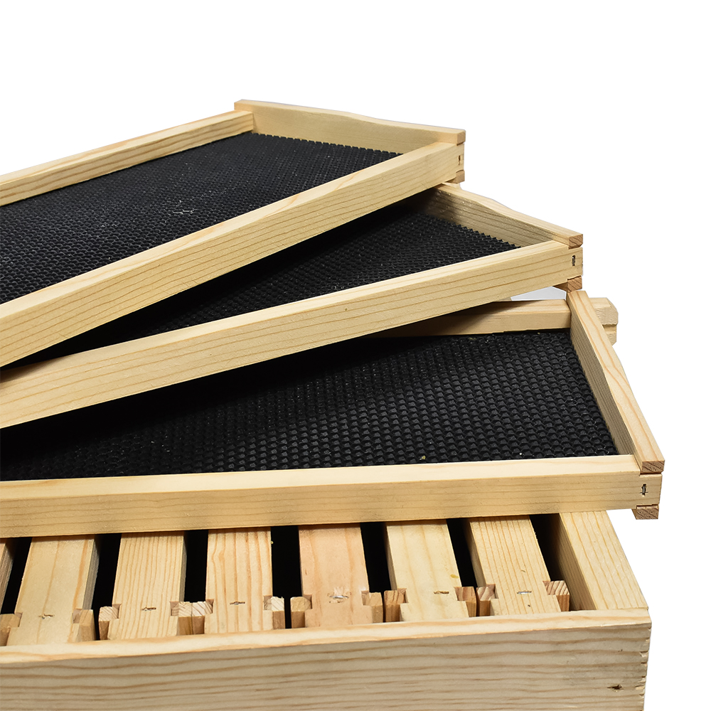  Beekeeping Single Deep Beehive Kit includes 2 Frame Manual Honey Extractor, Frames, Foundations, Brood Box, Spacer, Inner Cover, Top and Bottom 