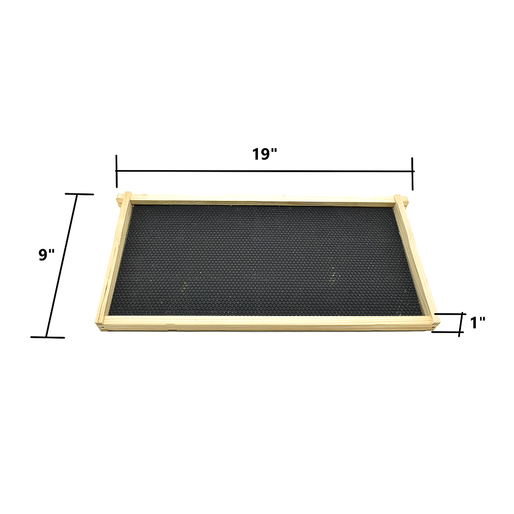  Beekeeping Single Deep Beehive Kit includes 2 Frame Manual Honey Extractor, Frames, Foundations, Brood Box, Spacer, Inner Cover, Top and Bottom 